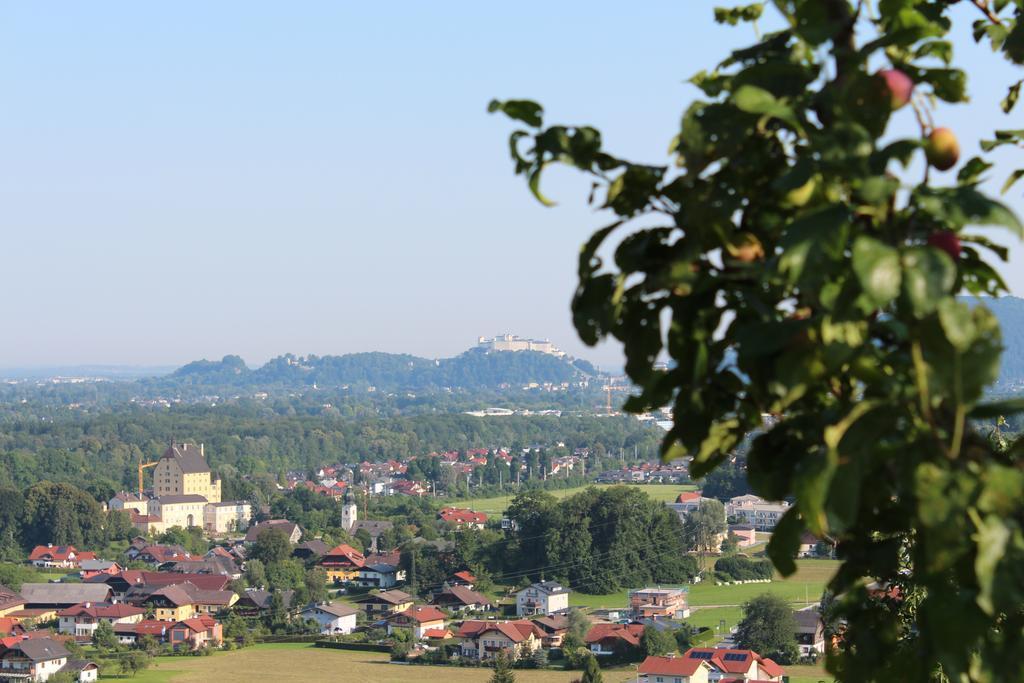 Haus Haslach Elsbethen Bilik gambar
